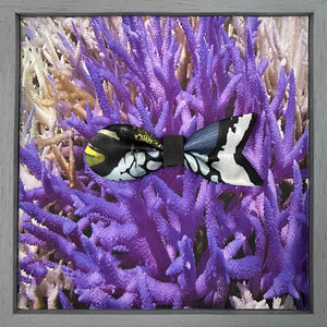 FISH BOW TIE